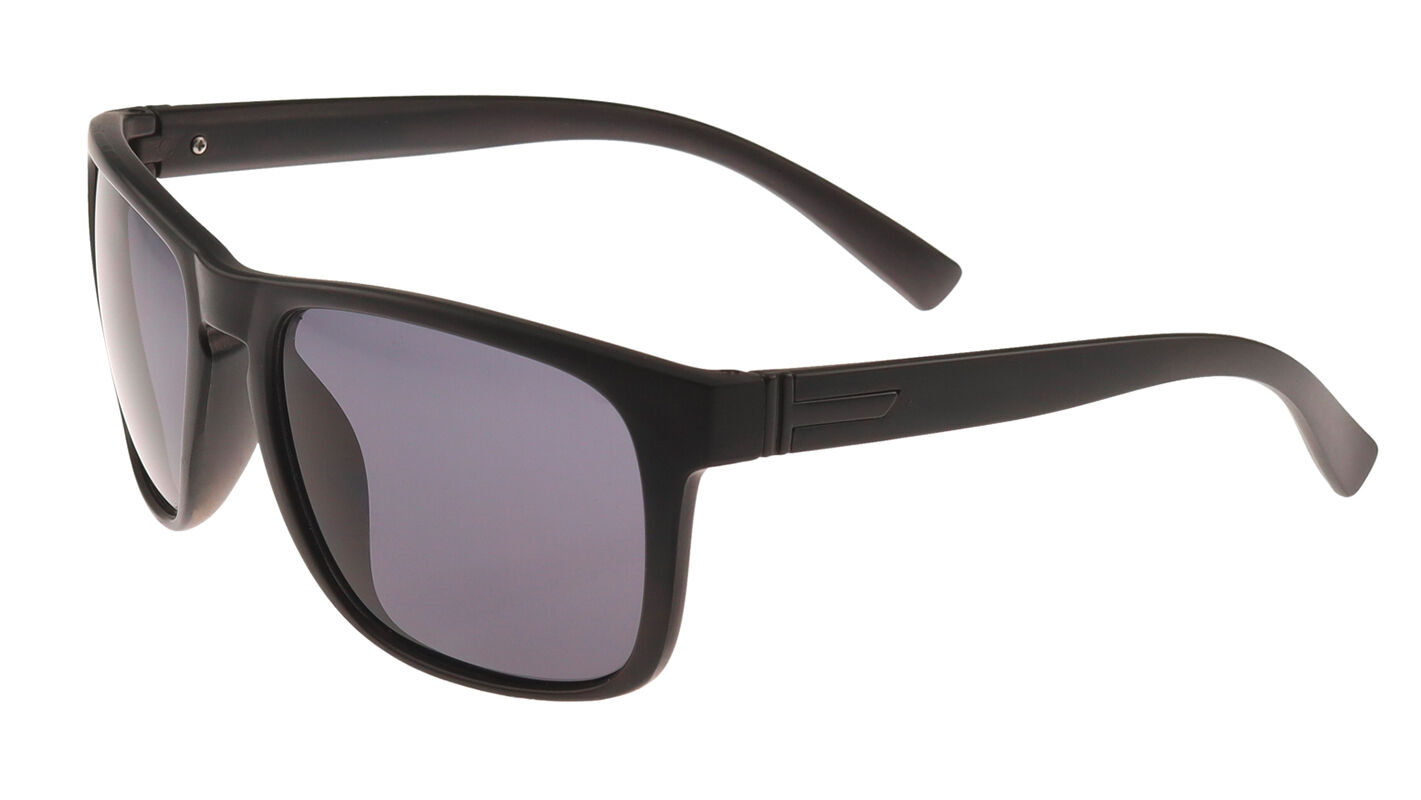 Sluneční brýle Men /Z256AP-255P